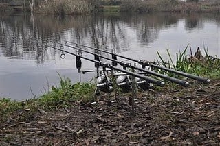 Behind the rods on the "Beds Pit"
