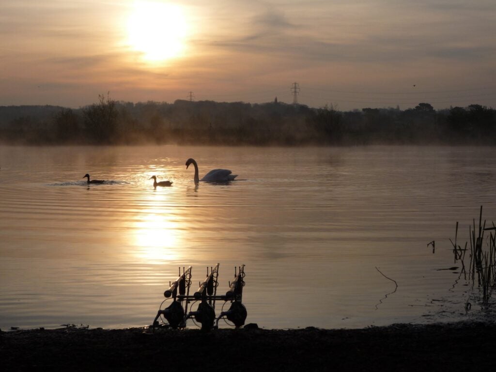A Glorious Summers Morning on The Syndicate.....