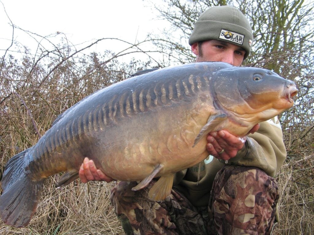 "The Big Linear", 34 lb