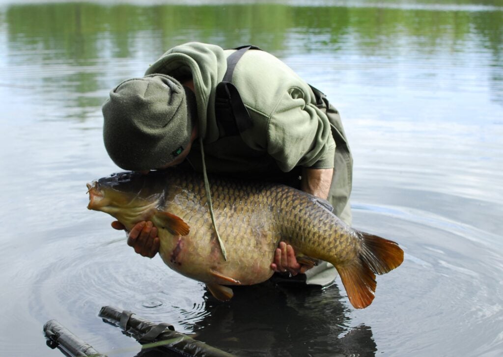 James returning a common carp to the water